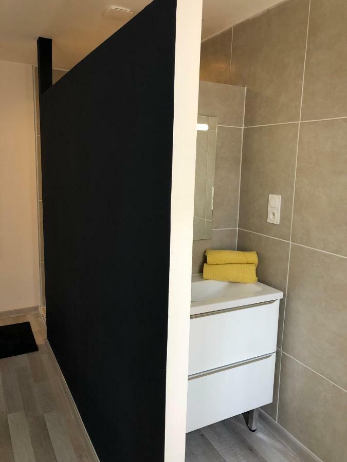 Fraichement Renove, Spacieux, Quartier Calme, Le Cocon De Lena 카르카손 외부 사진